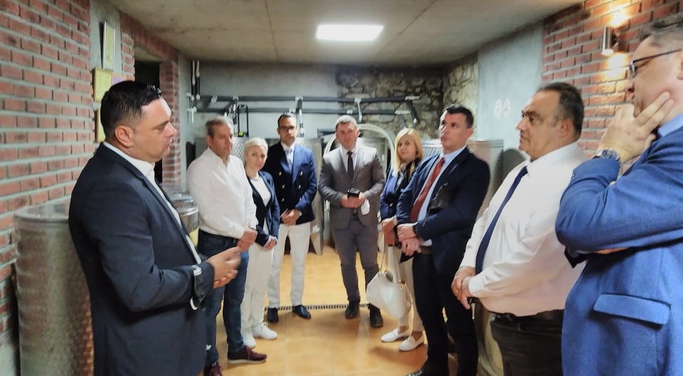 (Видео) Владини економски советници  во работна посета на Кавадарци